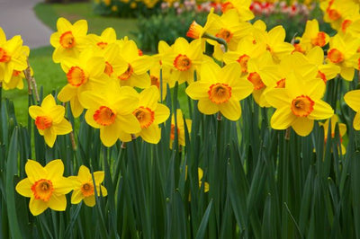 Spring is here